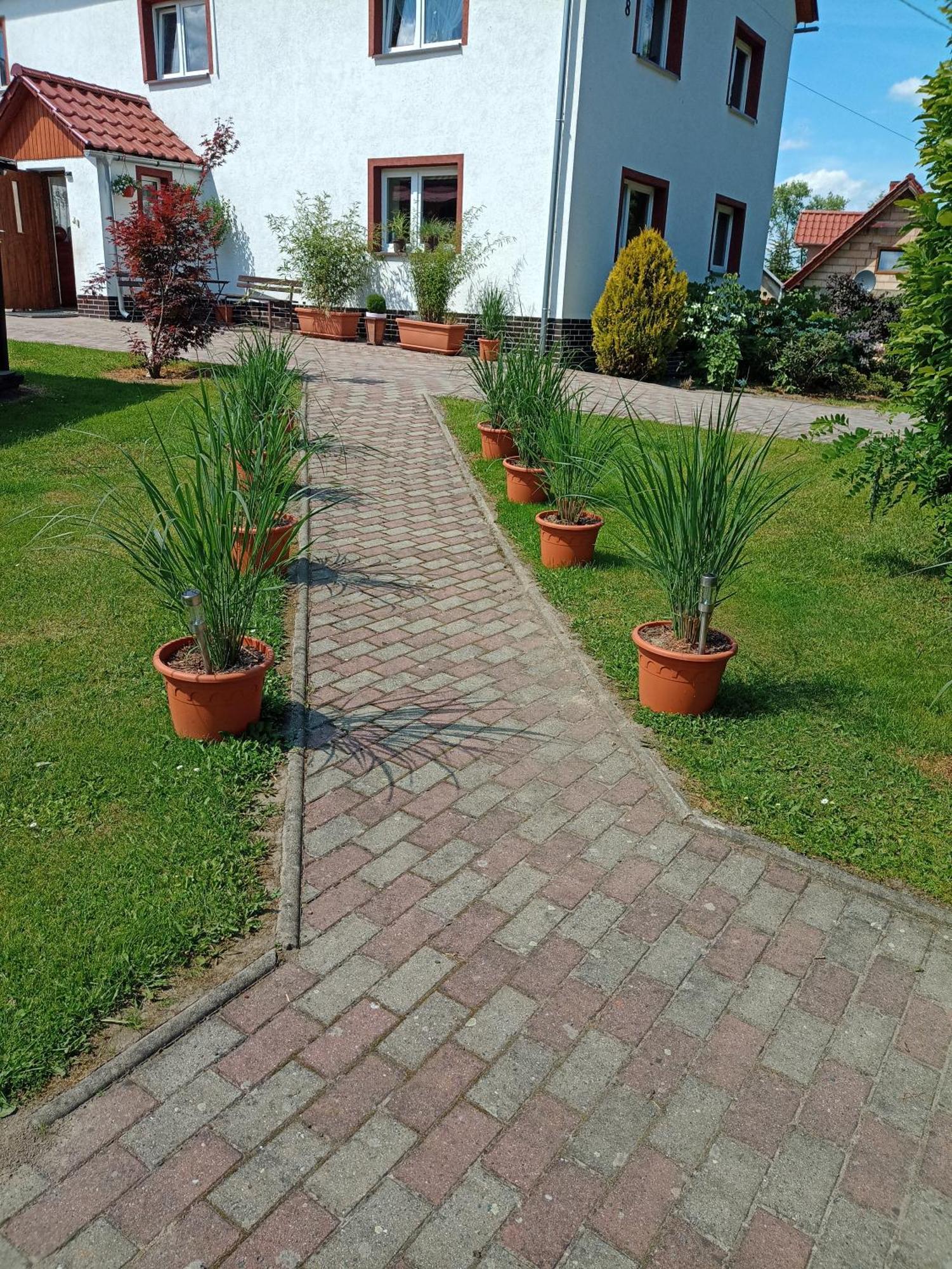 Agroturystyka Nad Strumykiem Лесьна Экстерьер фото